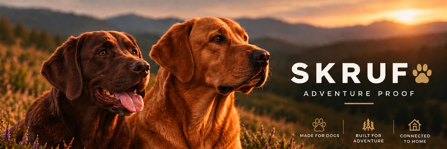 Bruce and Luna outdoors at sunset. SKRUF — Adventure Proof.